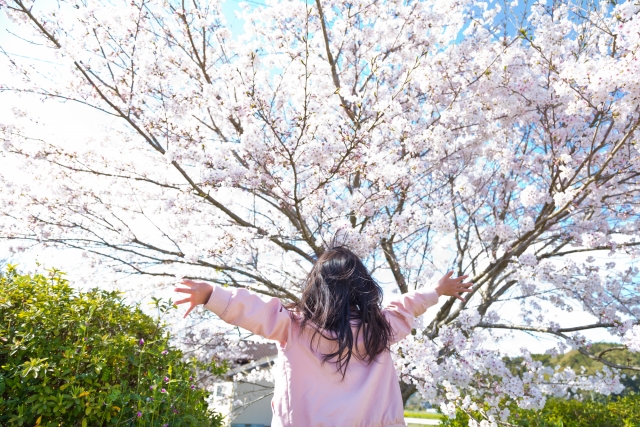 栃木の格安遊園地で遊んだ体験談！千手山公園ってどんなところ？ブログ記事に挿入する桜の花と女の子の後ろ姿の画像