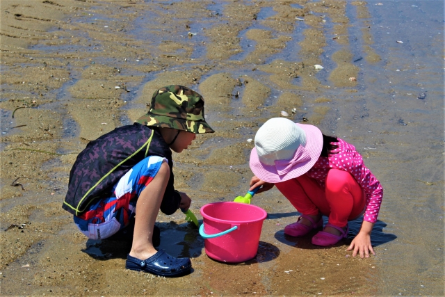 潮干狩り3歳児の服装は？靴下や靴ゴールデンウィークは寒いのかも詳しく紹介！ブログ記事に挿入する潮干狩りをしている子どもの画像