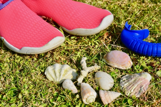 潮干狩り3歳児の服装は？靴下や靴ゴールデンウィークは寒いのかも詳しく紹介！ブログ記事に挿入するマリンシューズと貝殻の画像