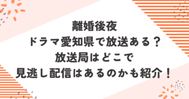 離婚後夜ドラマ愛知県で放送ある？放送局はどこで見逃し配信はあるのかも紹介！