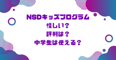 NSDキッズプログラム怪しい？評判は？中学生は使える？